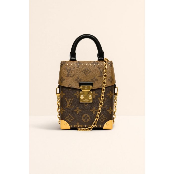 LV MALLE SOUPLE MONOGRAM CANVAS CAMERA BOX BAG
